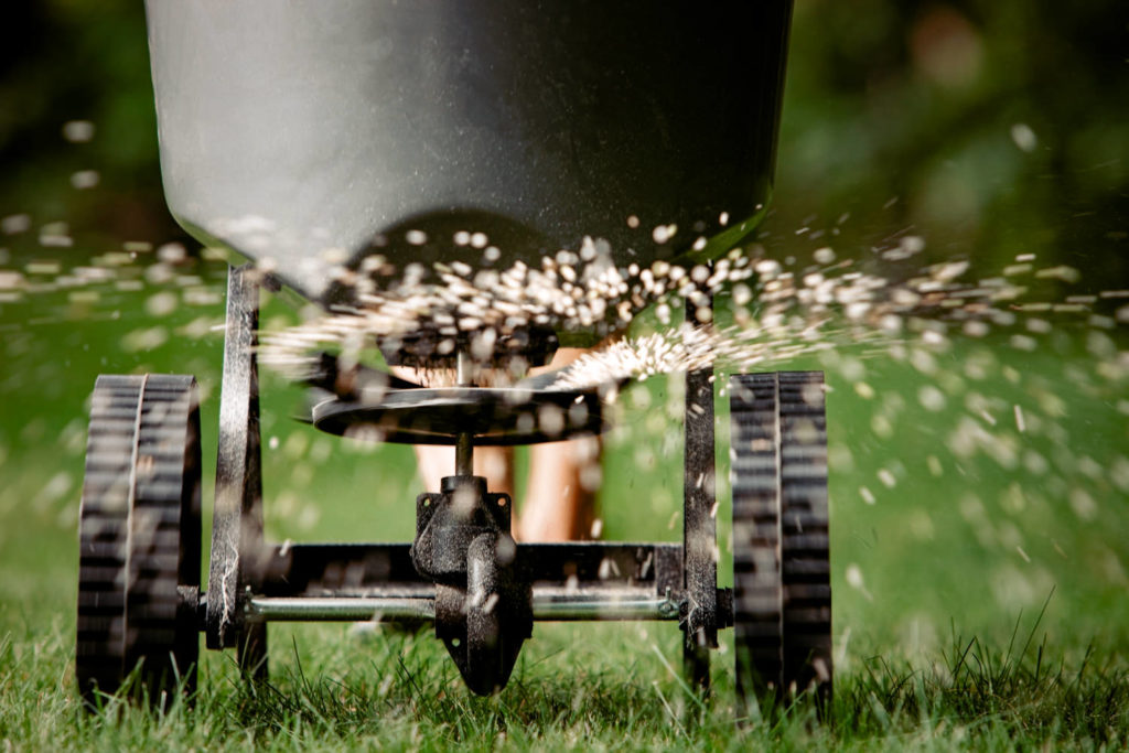 Fall Lawn Care Maintenance - Fertilizer