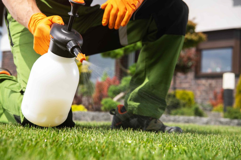 Man on One Knee Spraying Fertilizer Close to the Ground