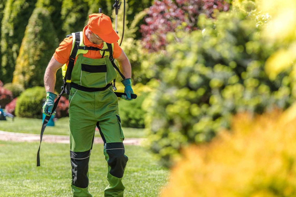 Man Holding Sprayer Looking at Bushes