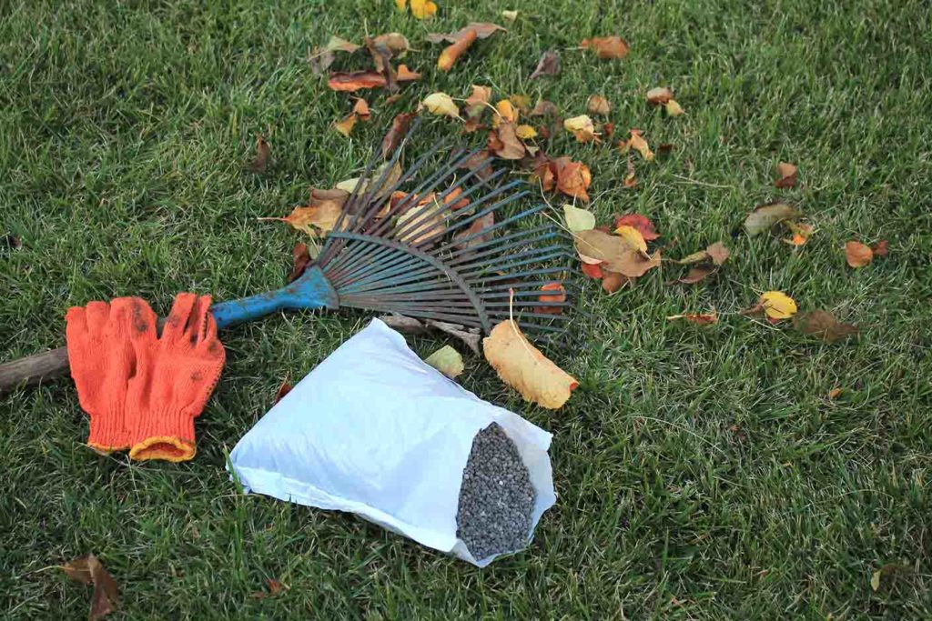 Gloves, fertilizer, and a rake on grass