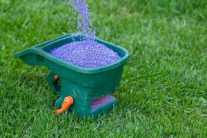 purple granular fertilizer spreader
