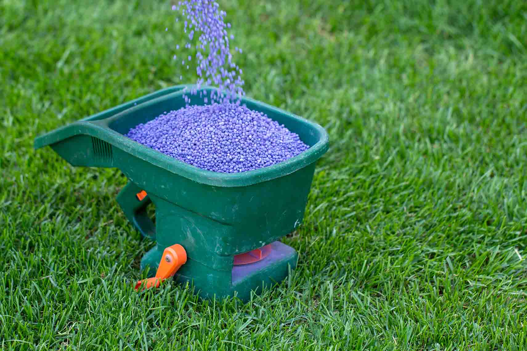 Everything You Need To Know About Granular Lawn Fertilization Elite Lawn Care