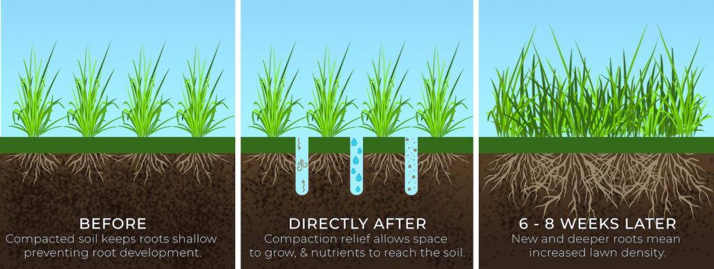 Elite Lawn Care - Core Aeration Chart