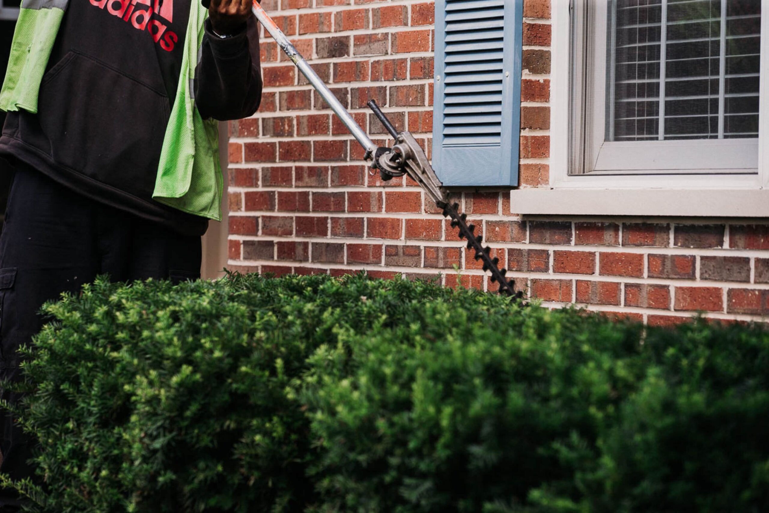Read more about the article Bush Trimming Is A Game Changer