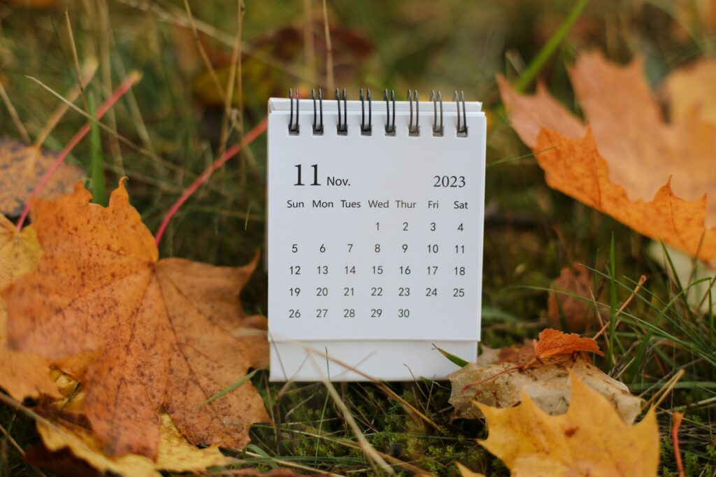 table calendar concept and copy space. November 2023 monthly calendar by maple leaves nature