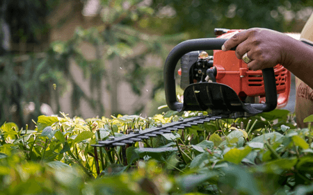 Residential hedge trimming in Lake In The Hills, IL.  Service areas include Crystal Lake, Cary, Lake In The Hills, Algonquin, and Huntley.
