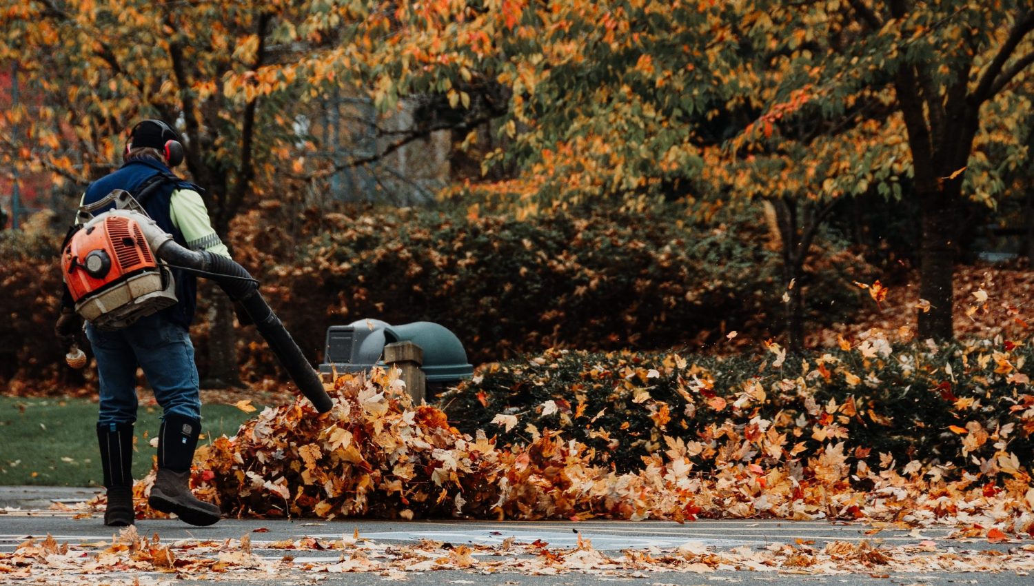A man operating leaf blower to clean up the dried autumn leaves